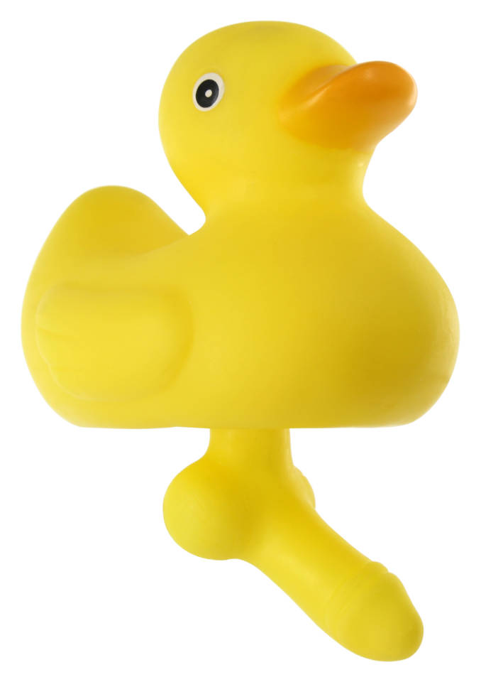 

Pływająca Kaczka z Penisem Duck with a Dick