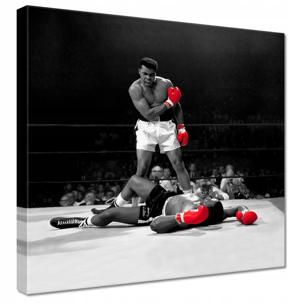 

Obraz 60x60 Muhammad Ali Bokser