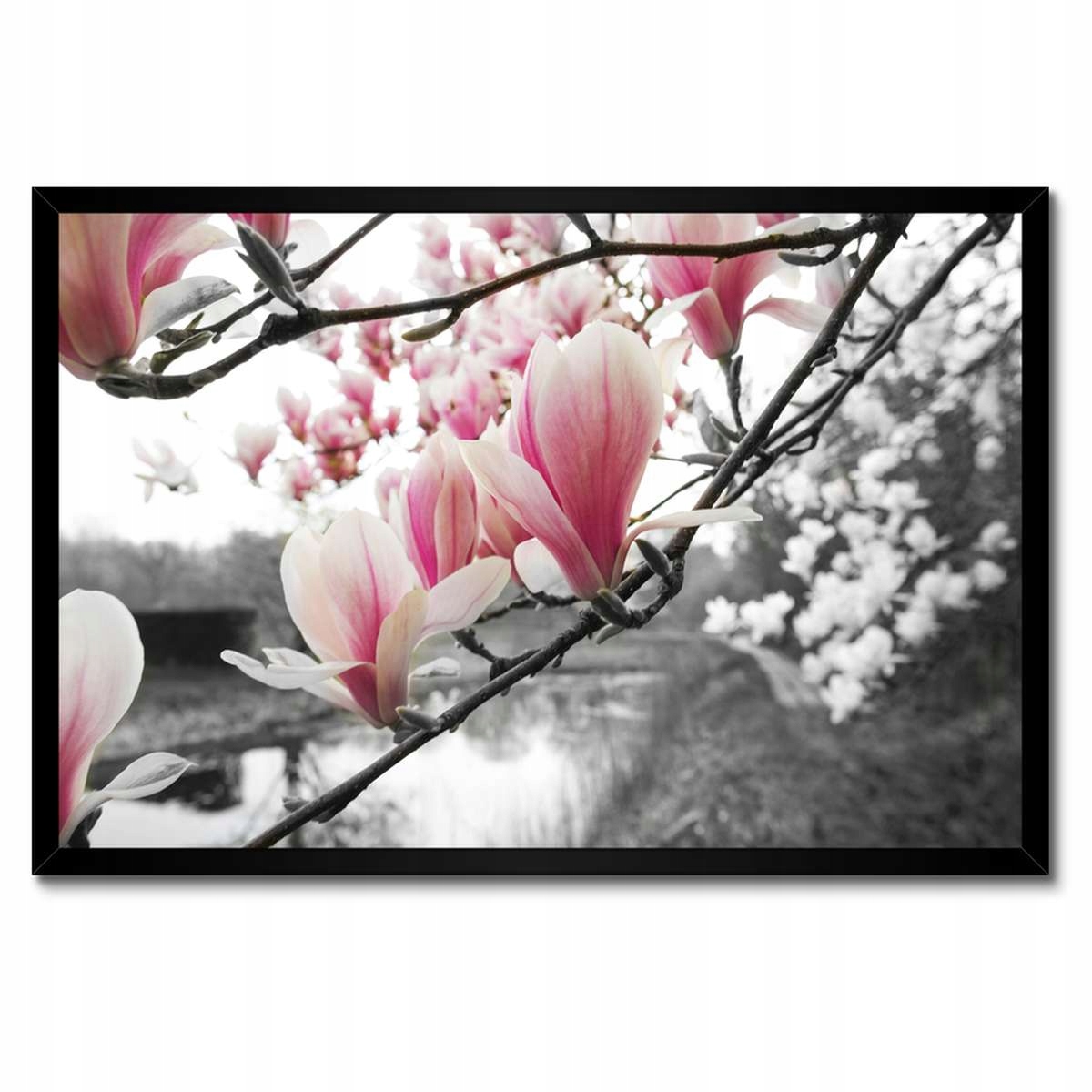 Plakáty v rámu 60x40 Magnolie Květiny