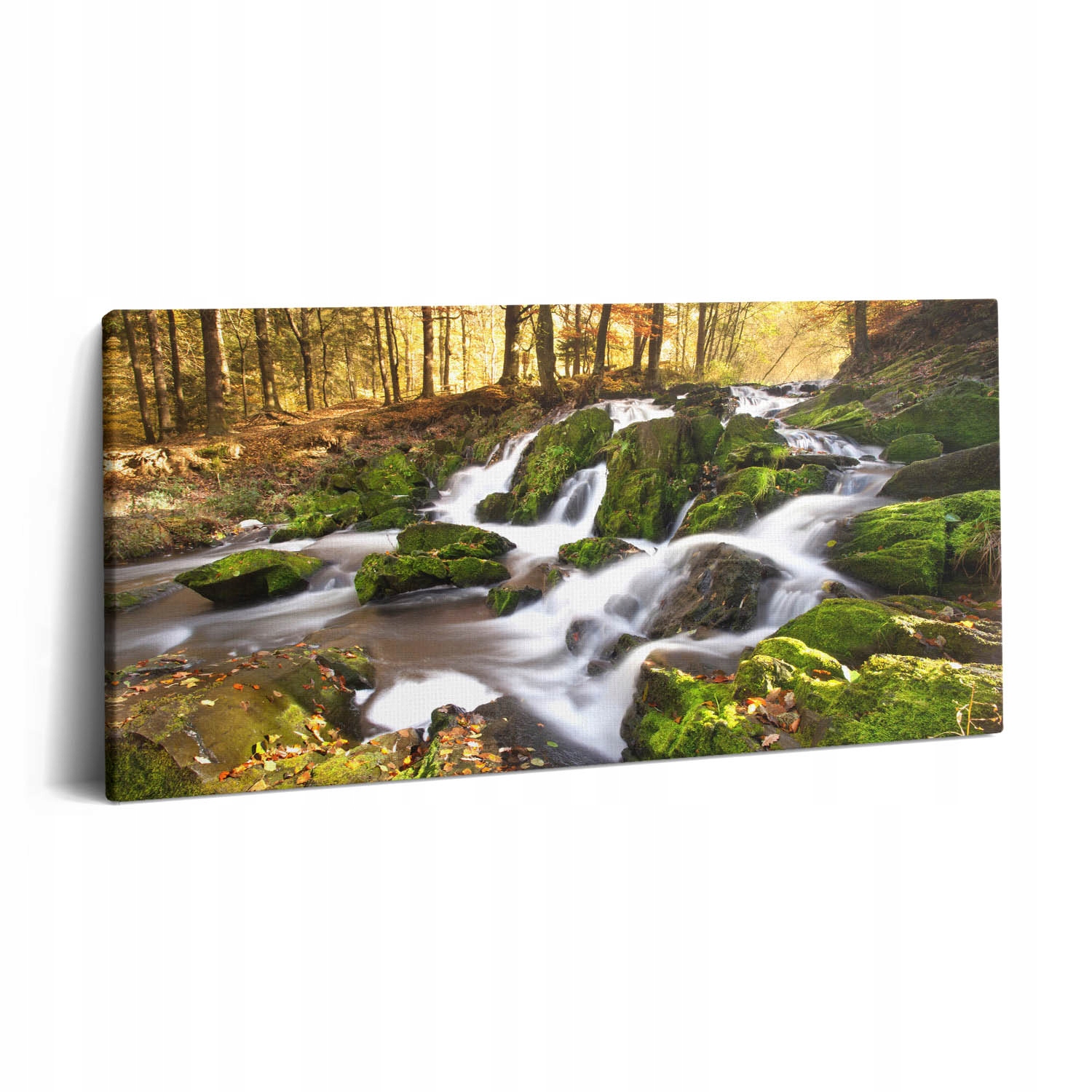 Obraz Plátno Canvas k zavěšení do posilovny Potok v podzimním lese