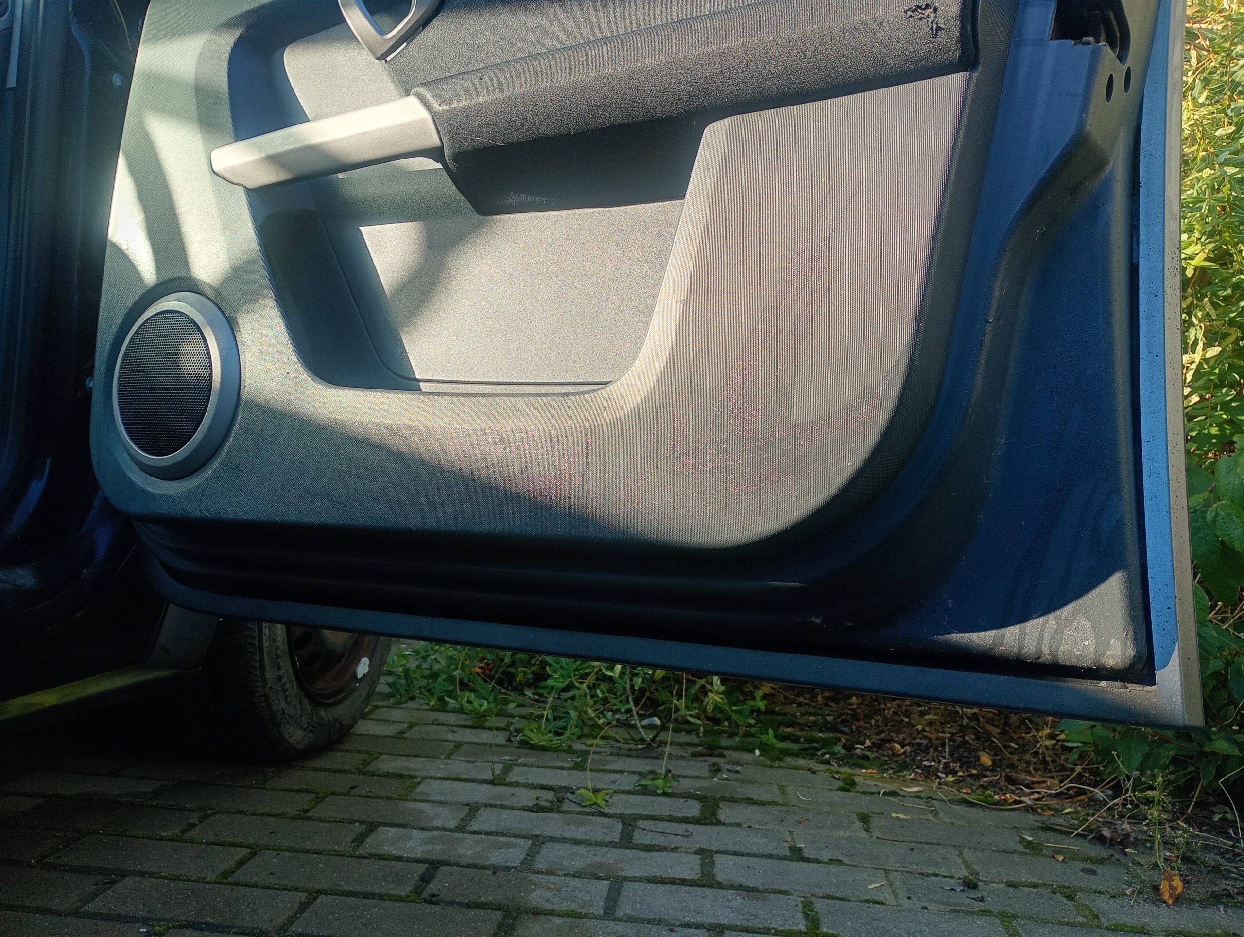 door right front front Smart Forfour 454 04-06