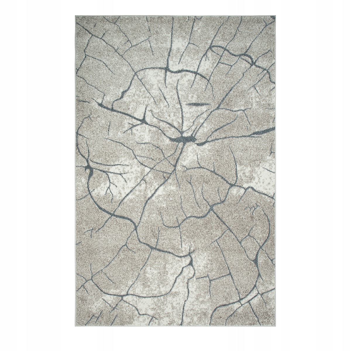 Nowoczesny Duży Dywan 200x290 ok 200x300 do Salonu MIX Wzorów