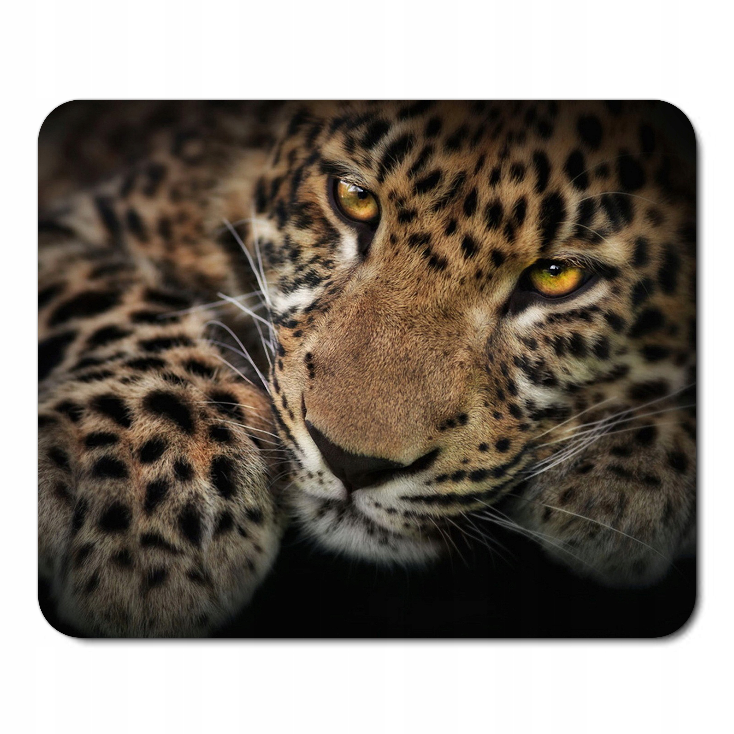 

Podkładka pod myszkę Dzikie Zwierzęta Jaguar