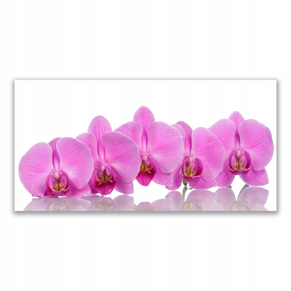 

Obraz akryl ścienny 140x70 Różowa Orchidea Kwiaty