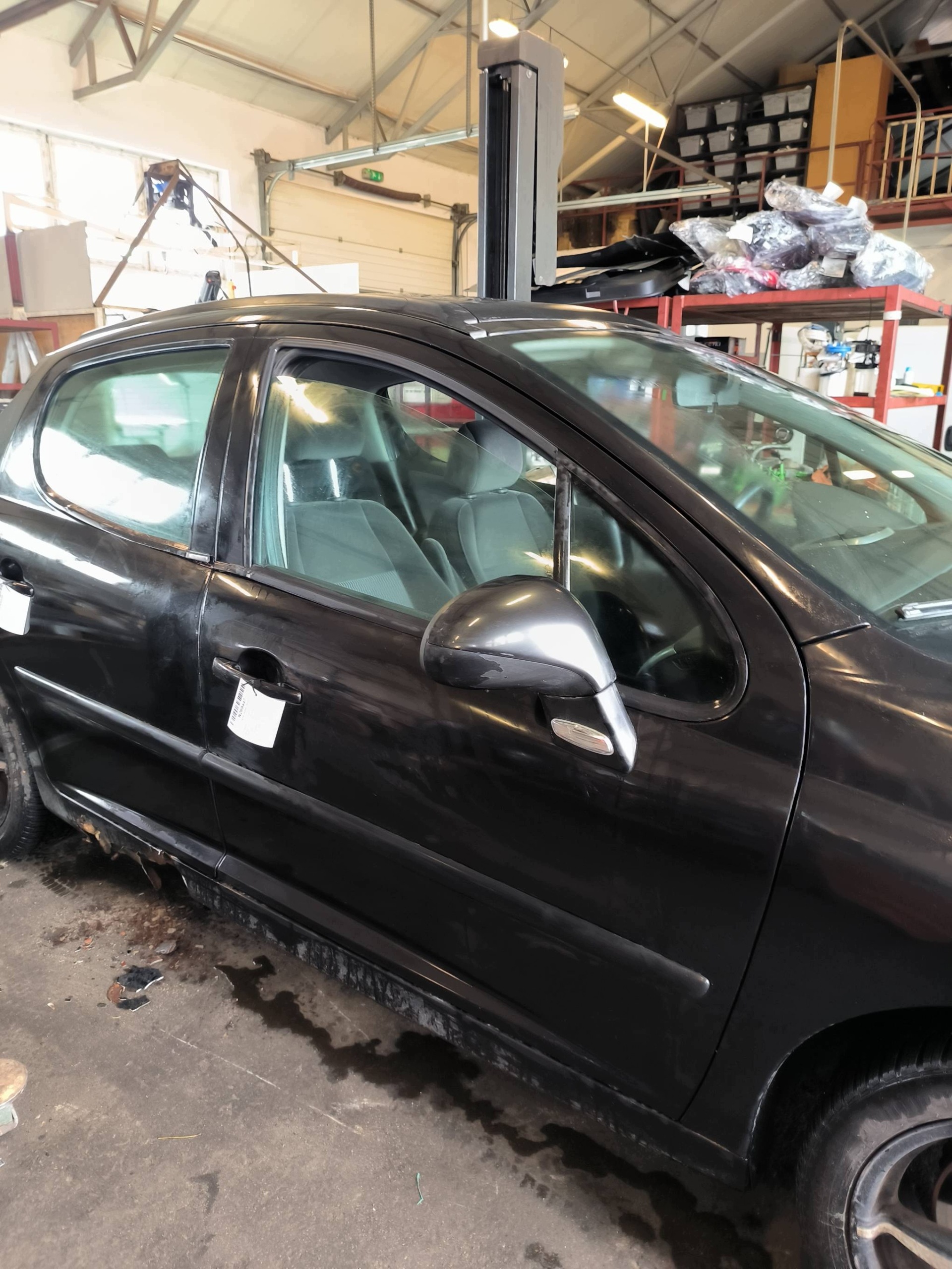 door right front EXL PEUGEOT 207