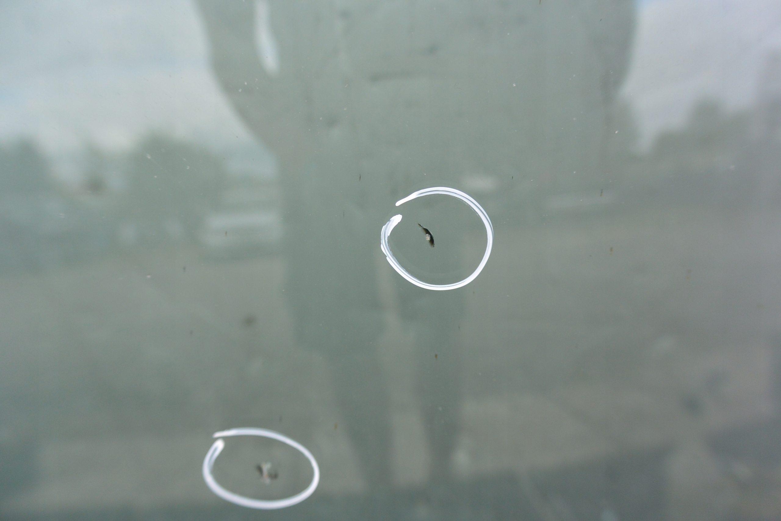 window front iron VW PASSAT CC