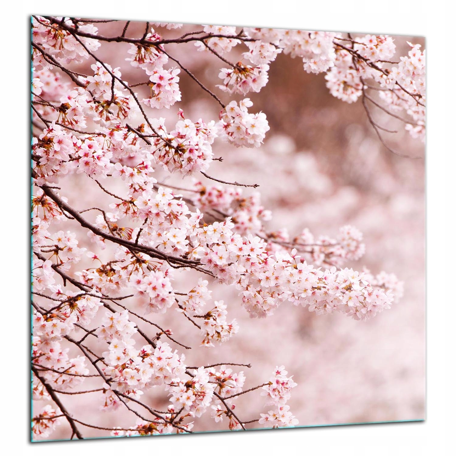 Skleněná Ochranná Deska Panel Lepidlo 60x65 KVĚTINYTvrzené Sklo Kuchyně 7v1
