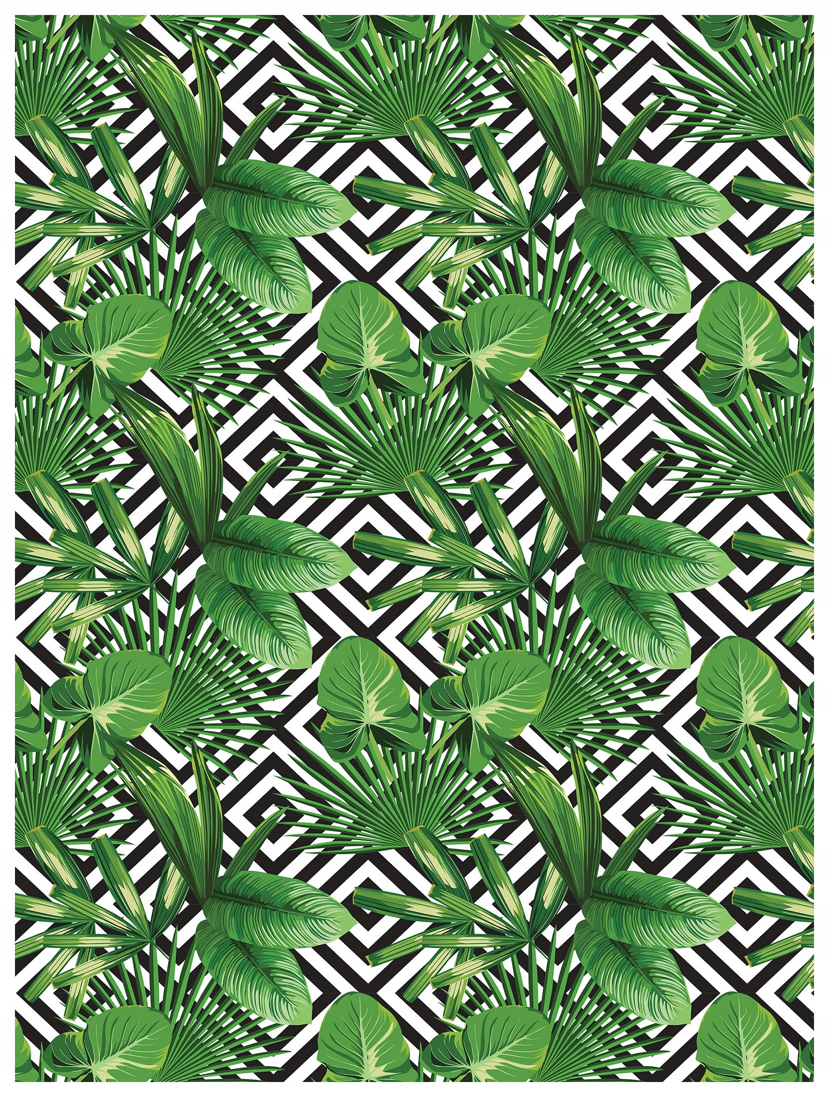 Fototapeta Tropická geometrie listů kosočtverců vinylová 184x254 lepidlo