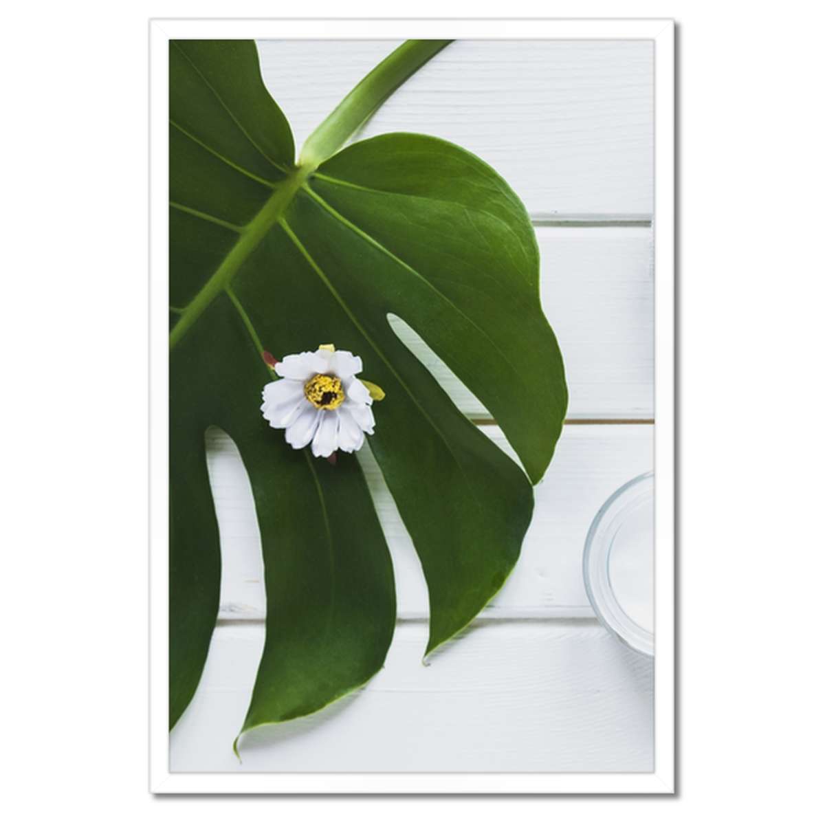 Plakáty v rámu 40x60 Kosmetika z přírody