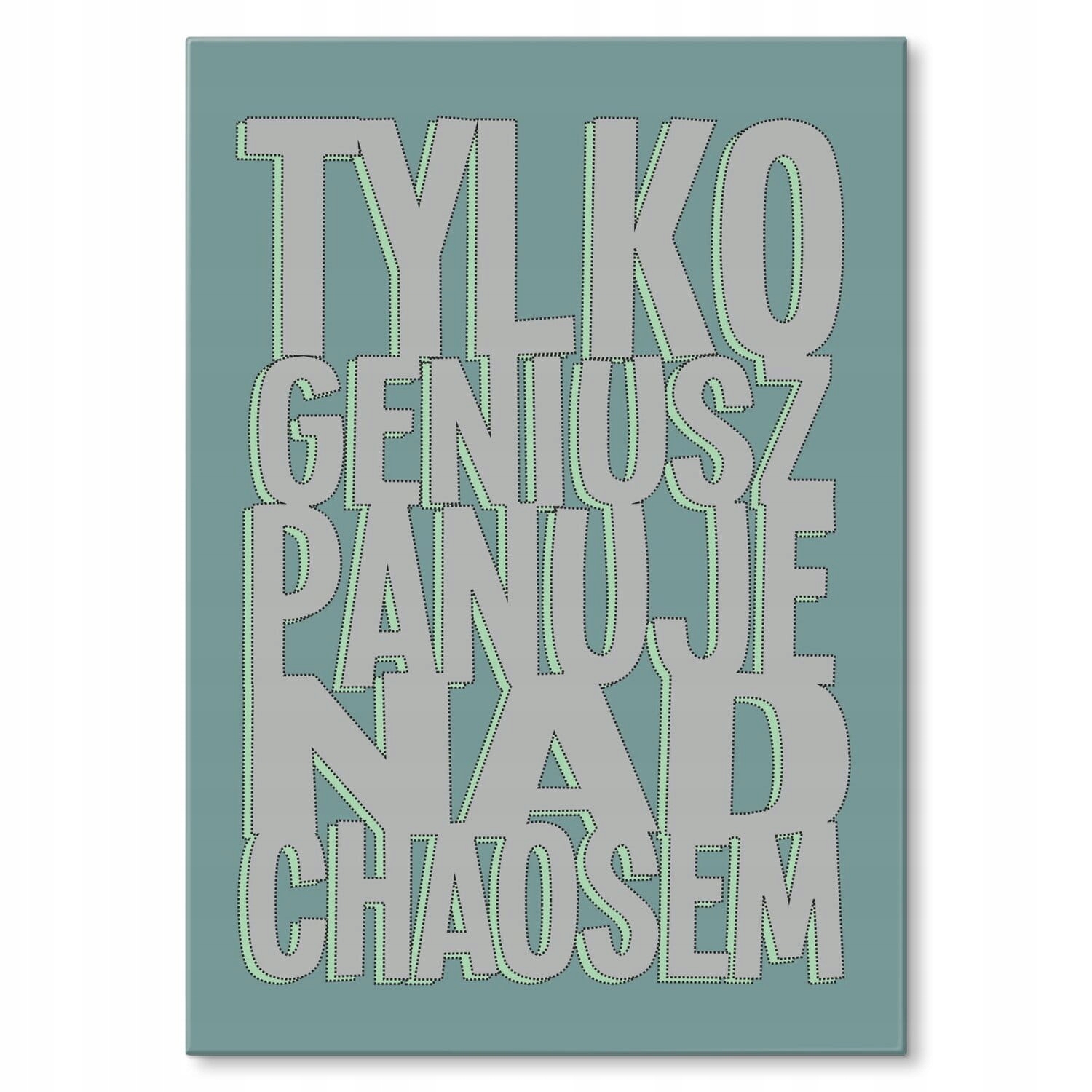 Velký plech plakát dárek do domu pokoje pro teenagera chaos nepořádek
