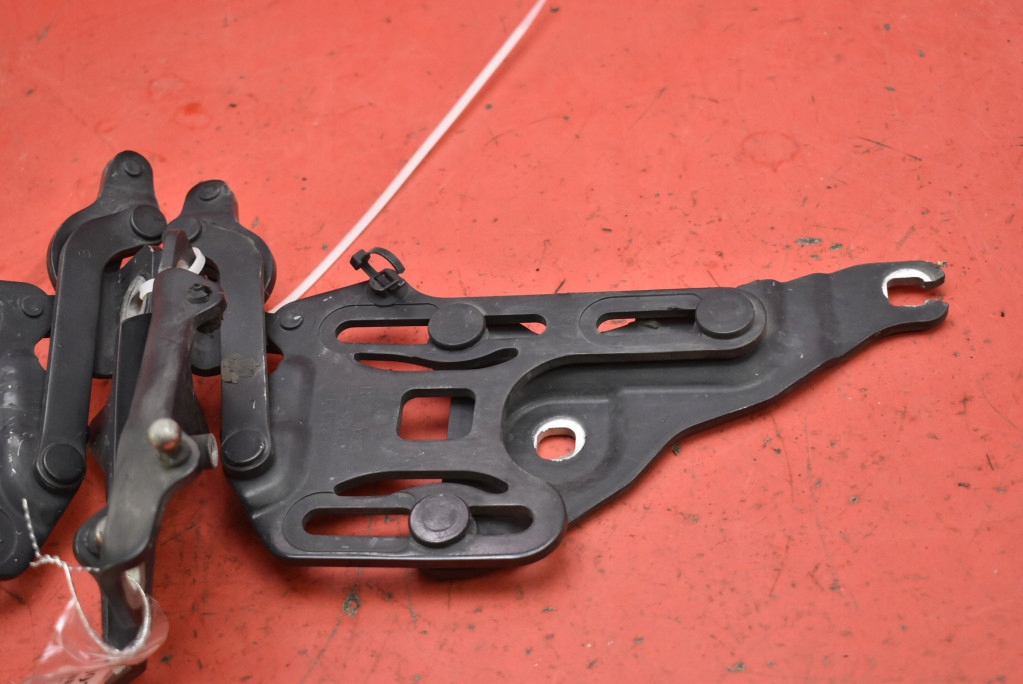 CERNIERA CERNIERE COFANO BMW X5 E70 06-10