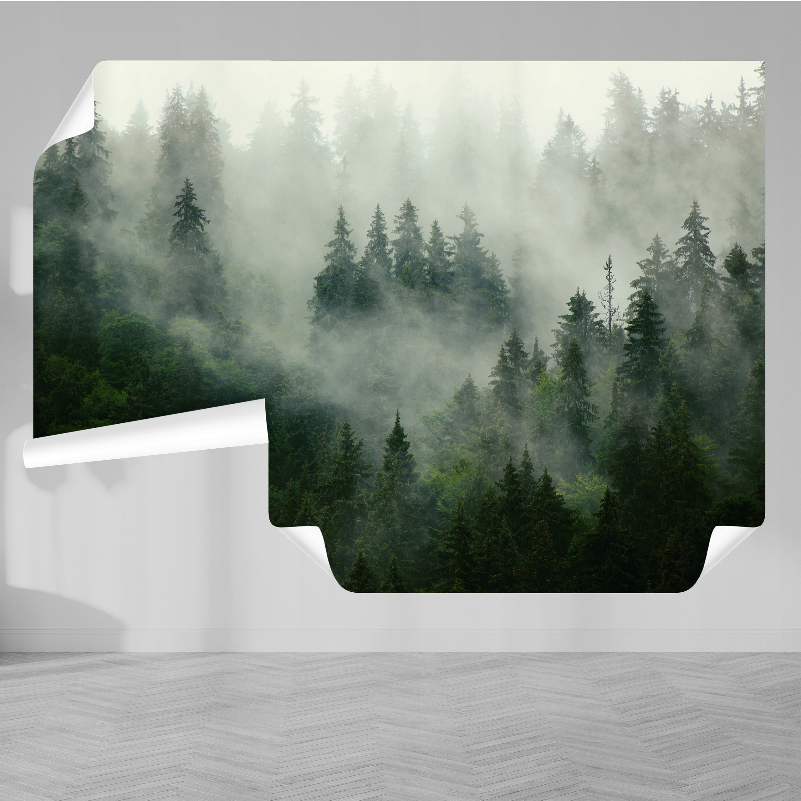 

Fototapeta na wymiar winylowa dowolny motyw