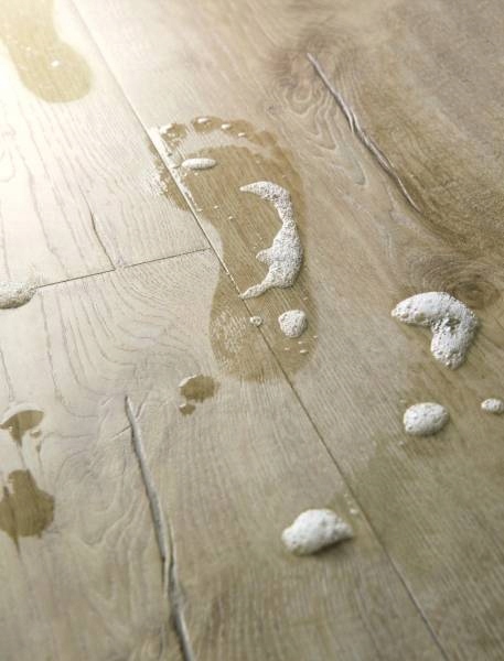 Panele Podłogowe Dąb Klasyczny Beżowy Wodoodporne AC4 8 mm V4 1.84m2 Rodzaj dekoru deska