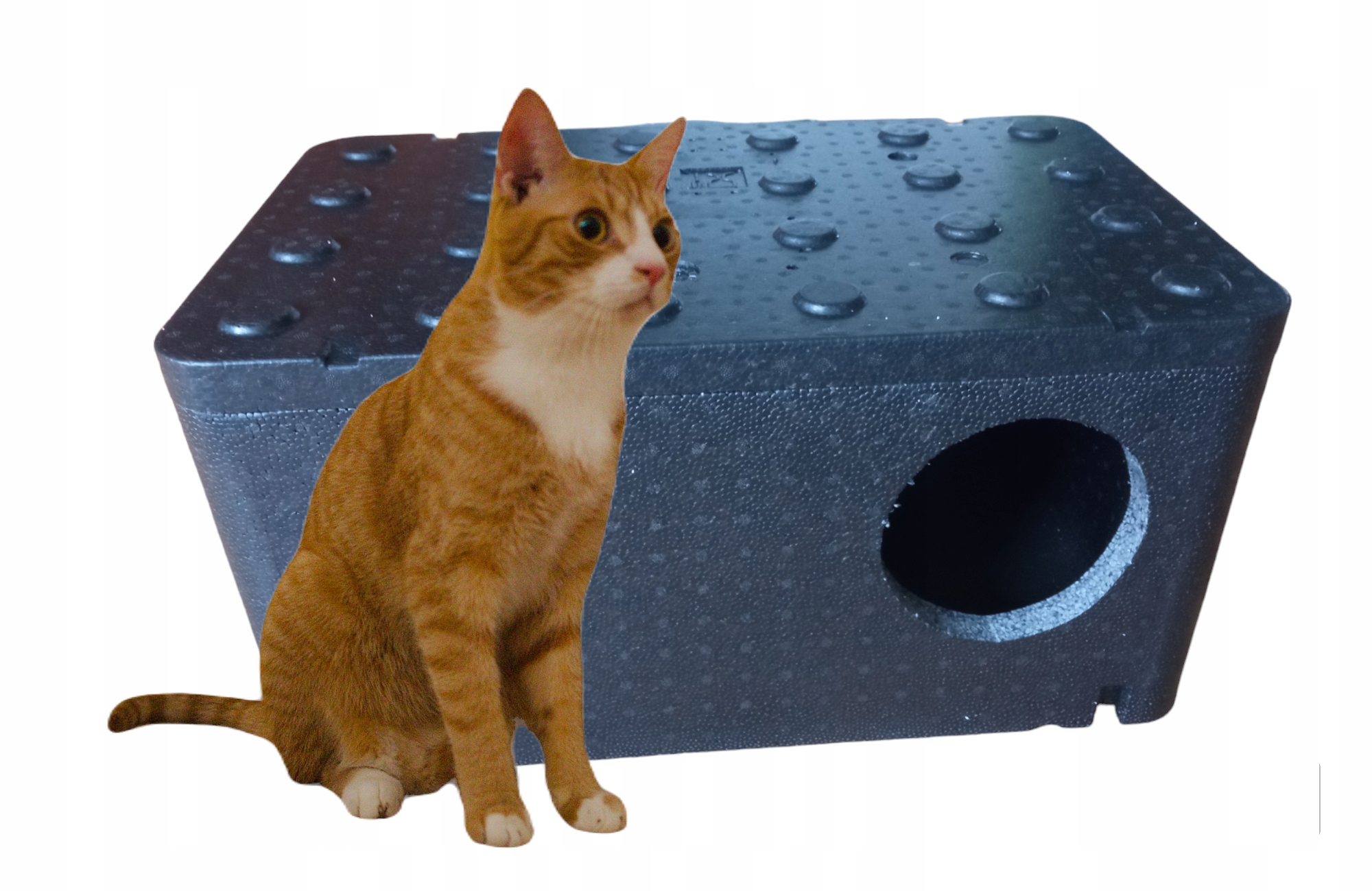 Budka dla kota piocelan