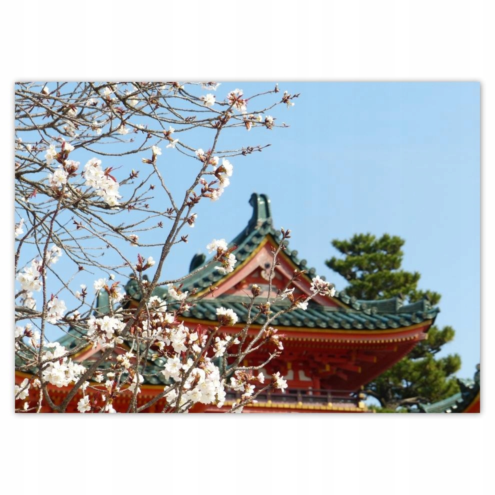 

Plakaty 70x50 Kwitnąca wiśnia w Japonii