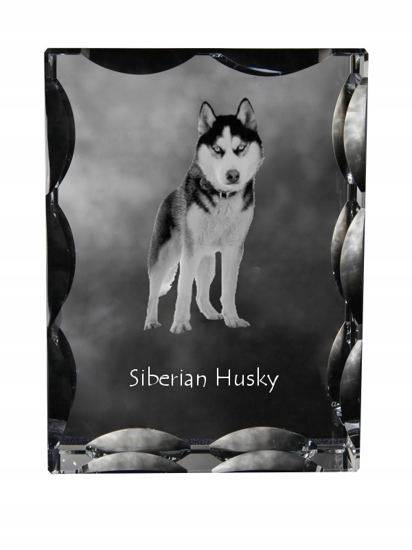 Husky syberyjski, Siberian Husky kryształ ze zdjęciem psa, szklana statue