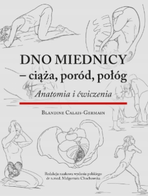 

Dno Miednicy Ciąża, Poród, Połóg. Anatomia I Ćw.