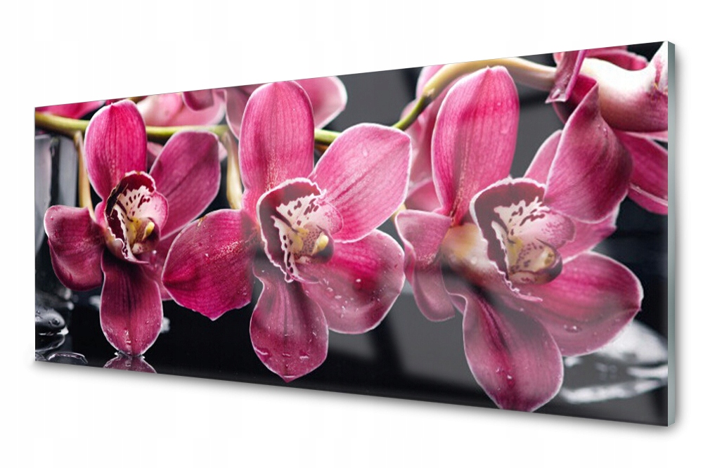 Obraz na skle Květiny Orchidej Výhonky Příroda 125x50