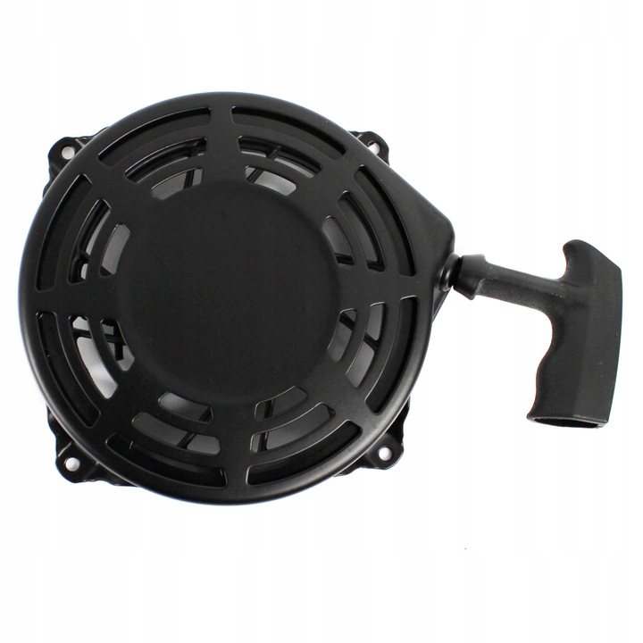 SZARPAK ROZRUSZNIK STARTER Briggs Stratton QUANTUM Rodzaj rozrusznik