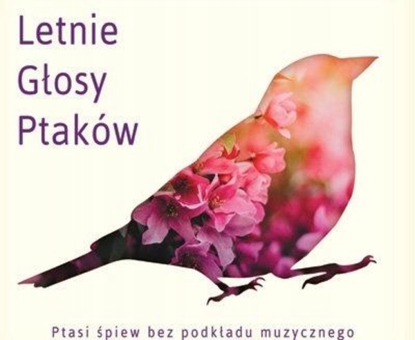 

Odgłosy Natury Letnie głosy ptaków