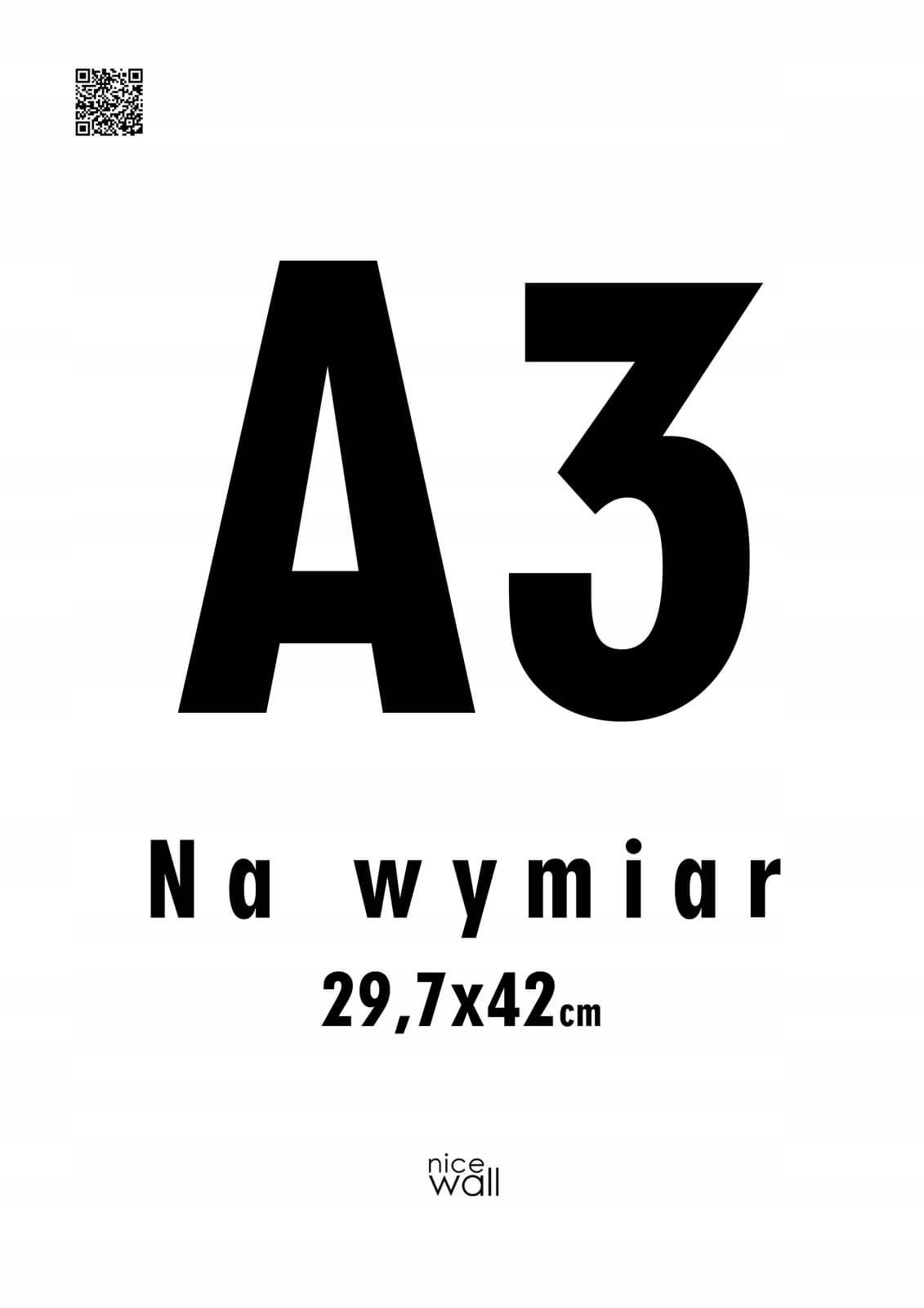 

Plakat na wymiar A3 29,7x42 cm Wydruk cyfrowy 200g