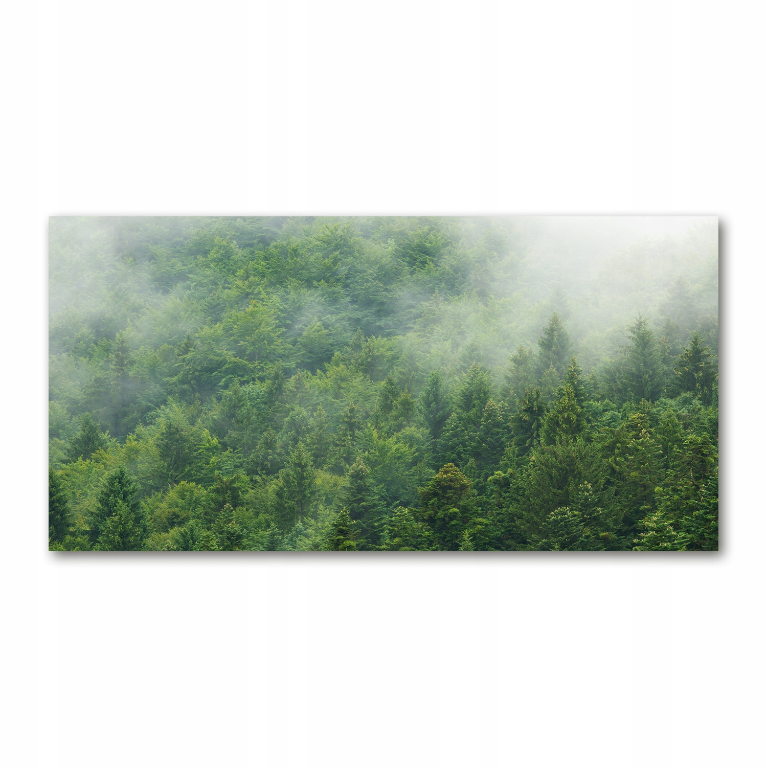

Foto obraz akryl zdjęcie Tajemniczy las 120X60 cm