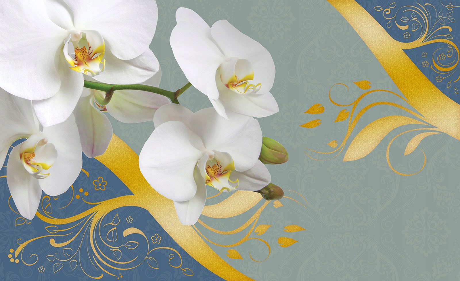 Vliesová fototapeta Bílé orchideje se zlatem na šedém pozadí 350x250 lepidlo