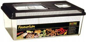 Levně Exo Terra – Plastové Terárium – 46 X 31 X 17.5 CM