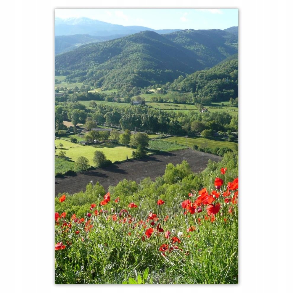 

Plakat 62x93 Kwiecisty widok w górach