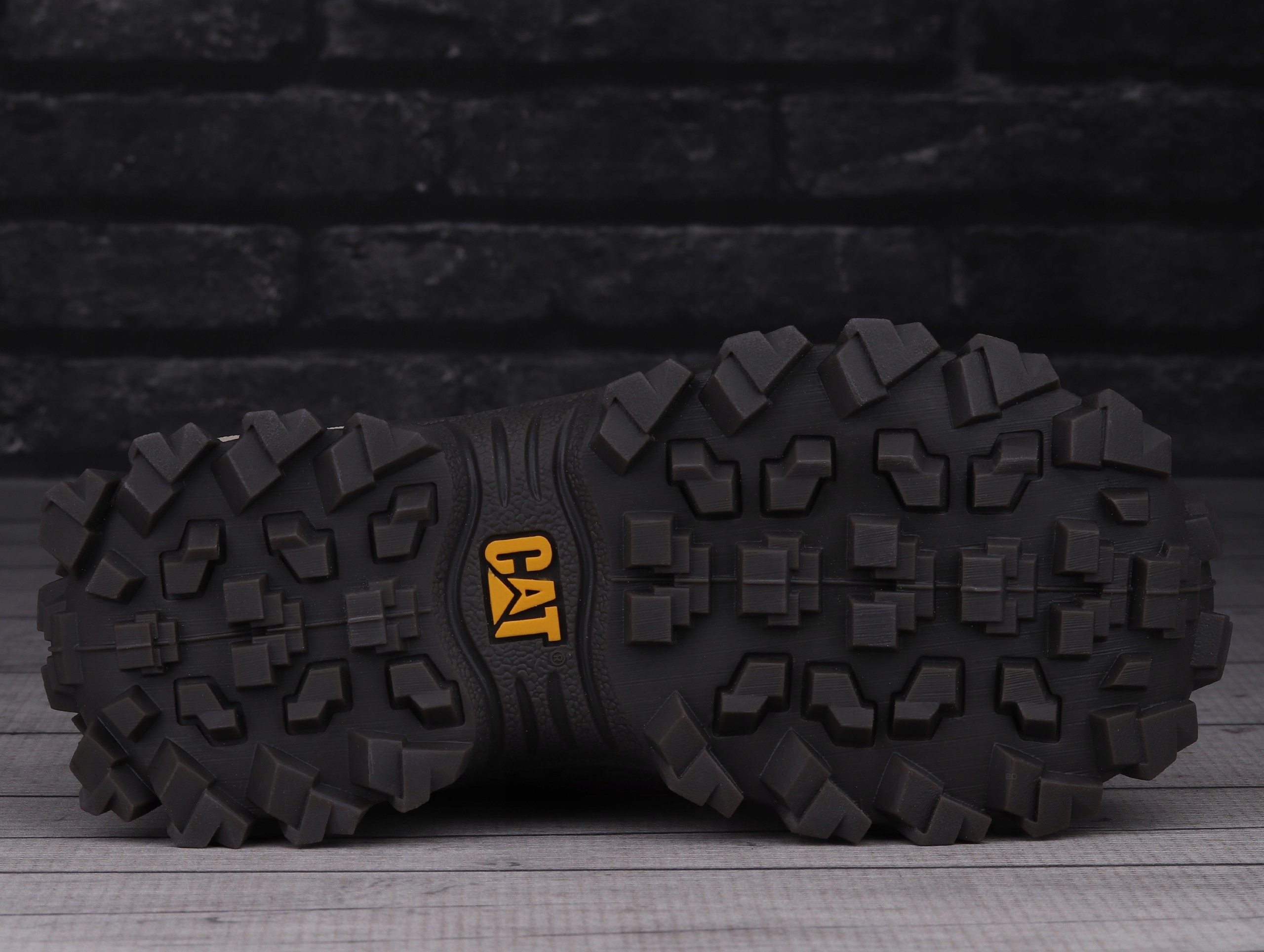 Gato！ 484476659.jpg