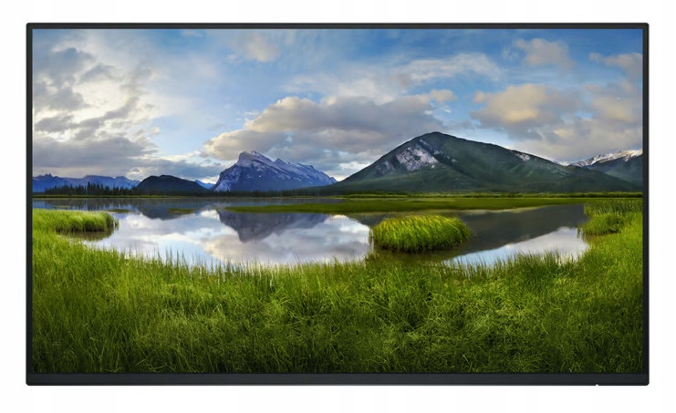 Monitor LED Dell P2425HE 23,8 