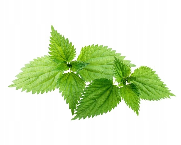Equiherbs, Zioła dla koni Pokrzywa Zwyczajna 1kg