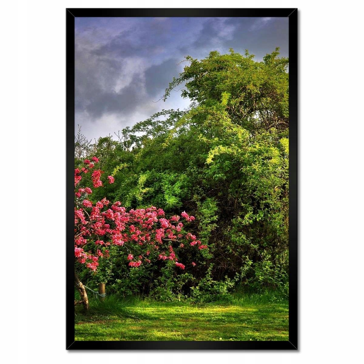 Plakáty v rámu 40x60 Krajina