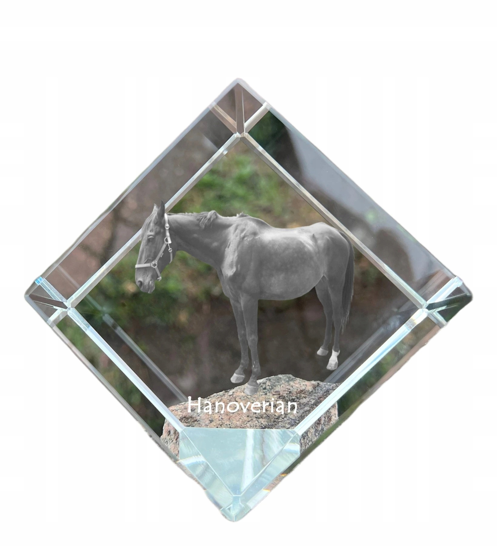 Hanoverský kôň krištáľová kocka s fotografiou koňa, ozdoba do kancelárie