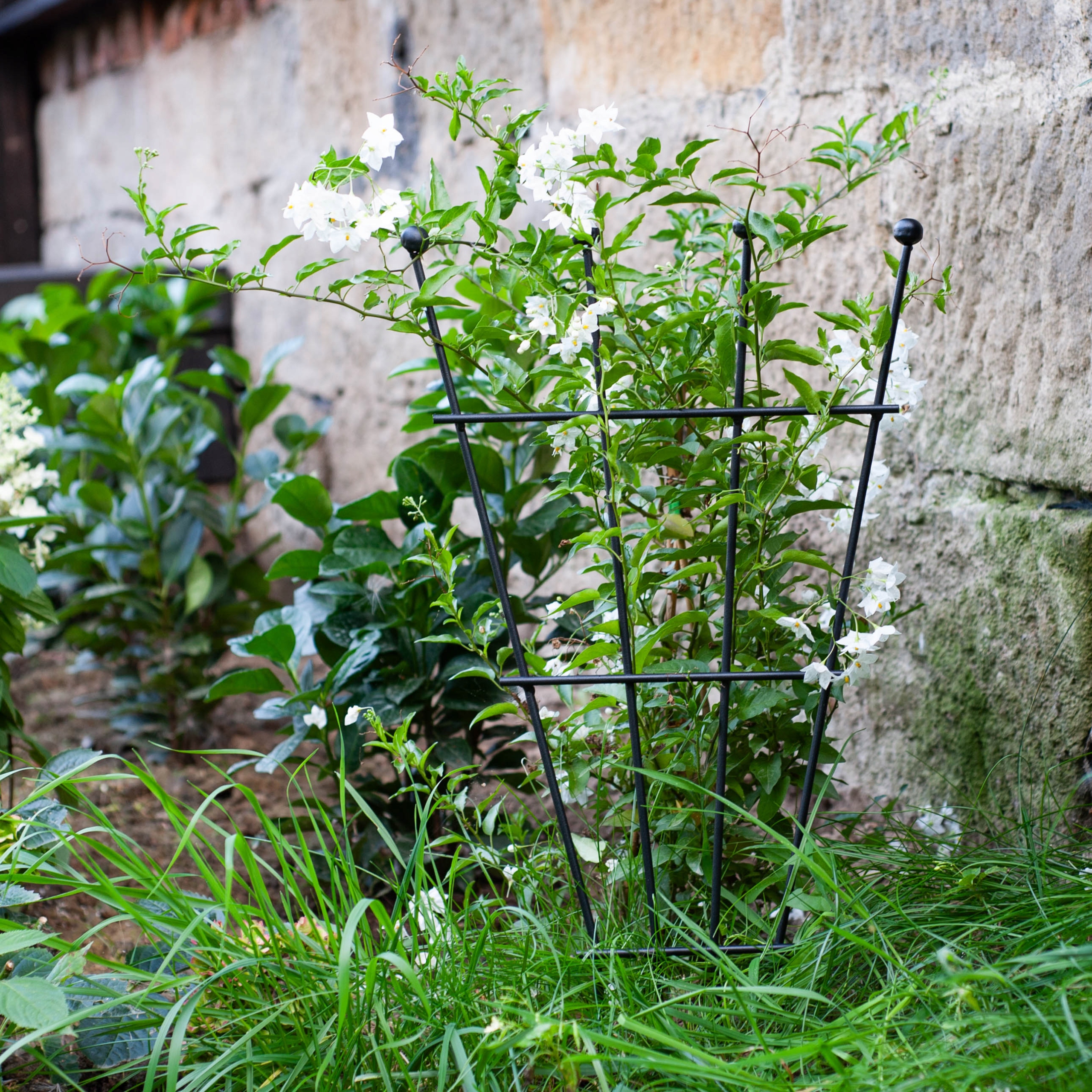 PERGOLA OGRODOWA METALOWA PODPORA DO ROŚLIN KWIATÓW PNĄCZY SPAWANA 60 CM Materiał wykonania metal
