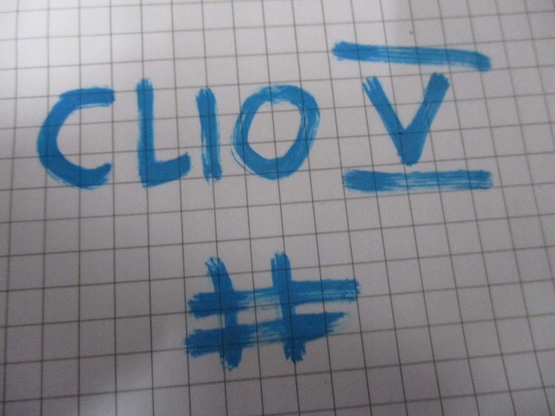CIELO INTERNO RENAULT CLIO V 5