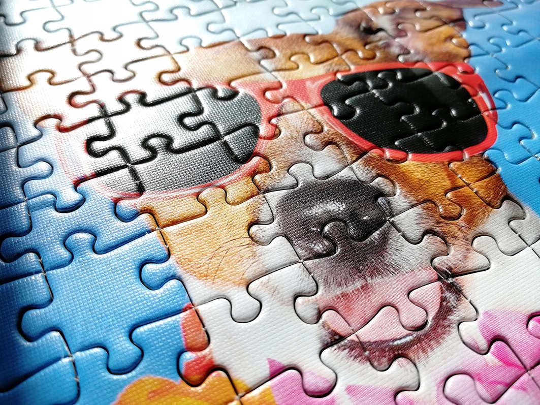 Tactic PUZZLE Psy na Wakacjach 500el Płeć chłopcy dziewczynki