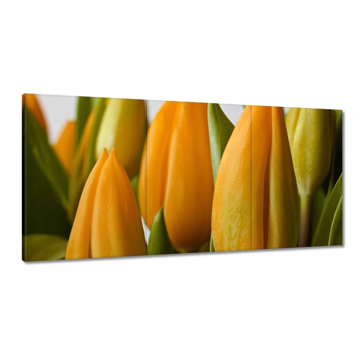 Obrazy 180x90 Žlté tulipány