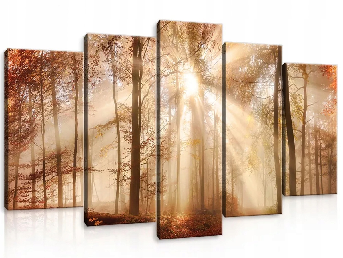 Obraz Na Plátně Canvas 100x60 Les Podzim Slunce