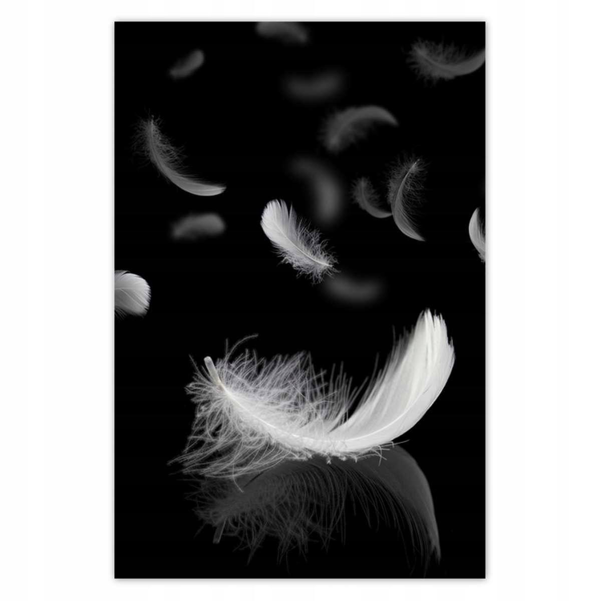 Fototapety 169x254 Padajúce biele perie