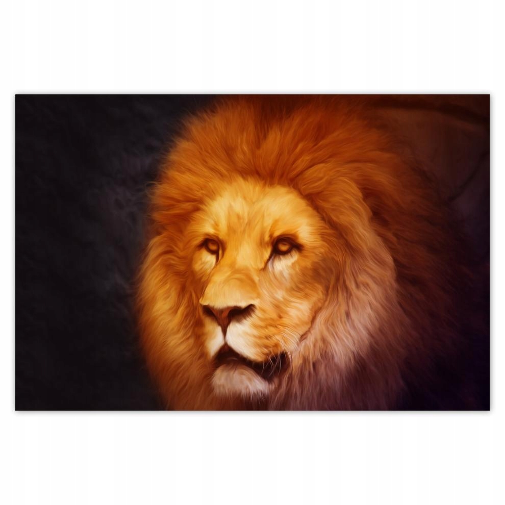

Plakat 93x62 Król lew