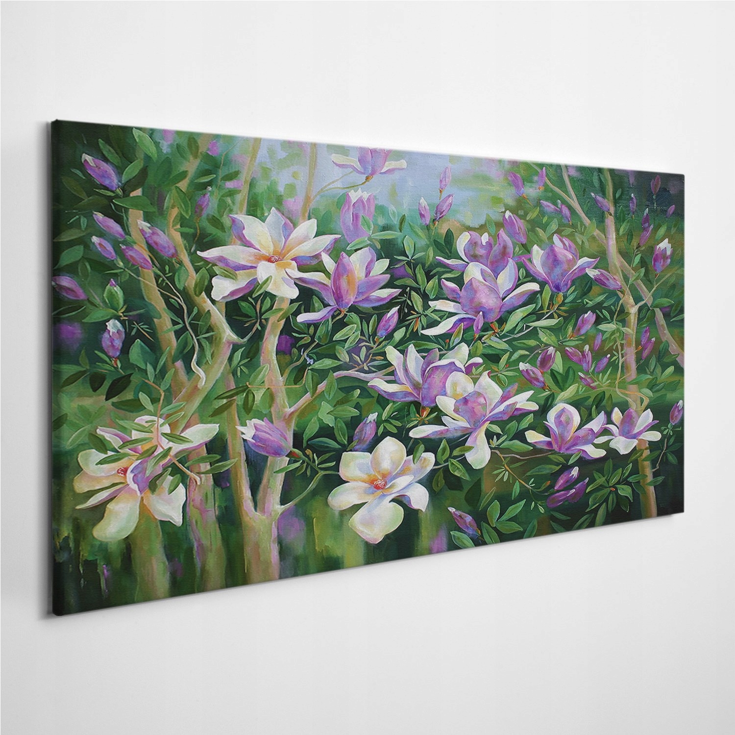 

Obraz na płótnie z zdjęciem Kwiaty Magnolie 100x50