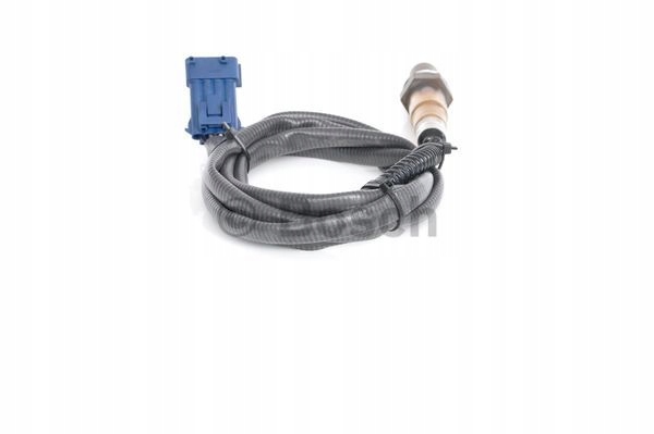 704b41114baf990cd32213d20c2c