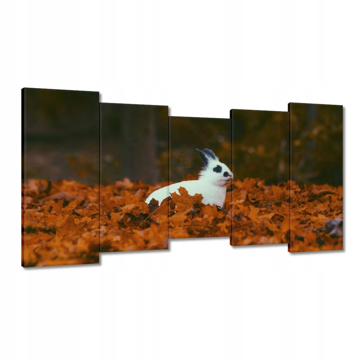 Obrazy 150x80 Zvířata Zvířátka