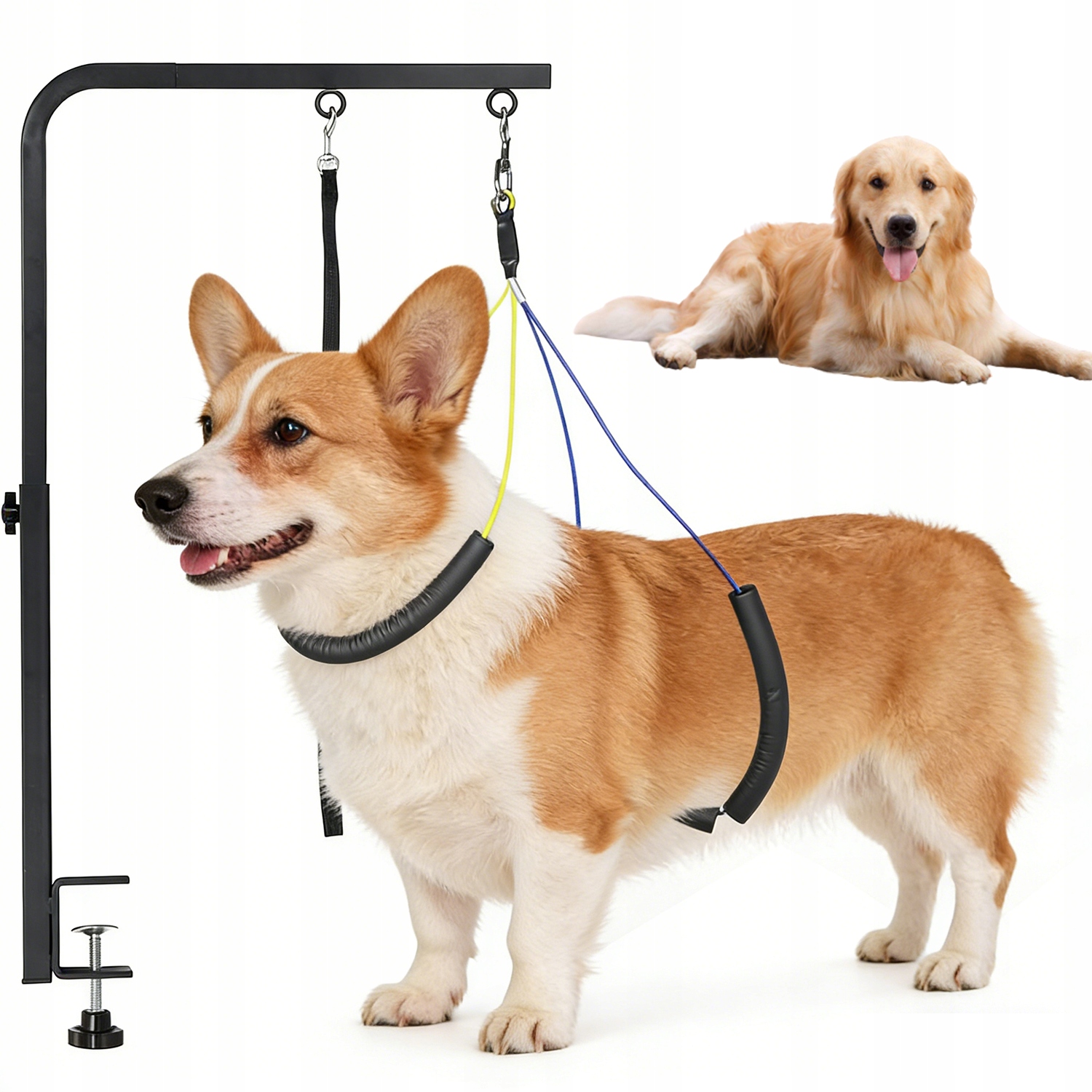 Levně Držák na zadek bez sedadla pro péči o zvířata s nastavitelnou základnou