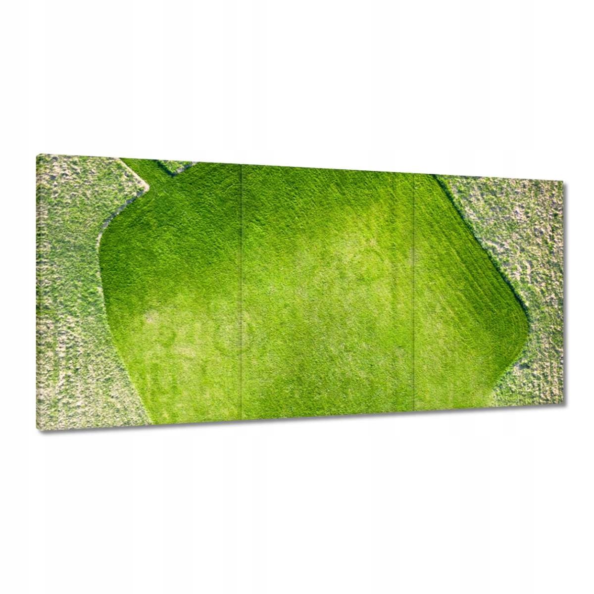 Obrazy 120x60 Tráva Pole Louka Cesta