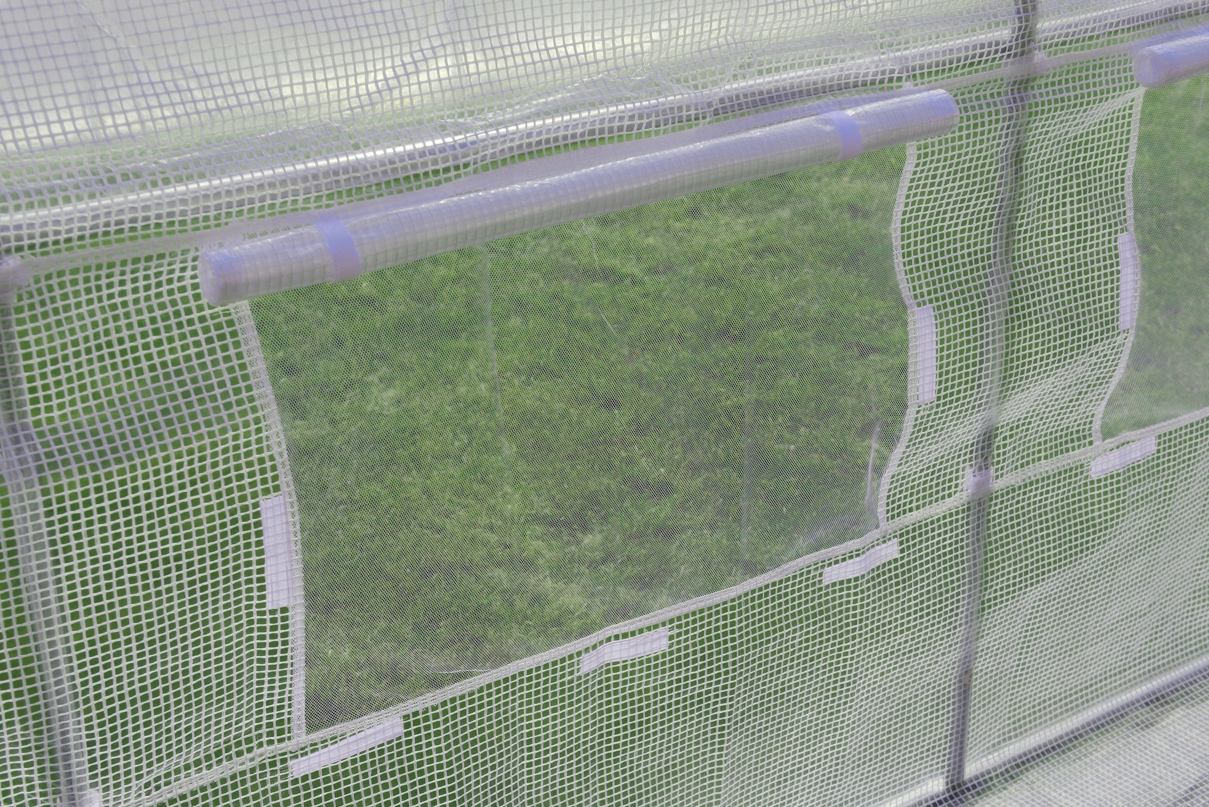 TUNEL FOLIOWY OGRODOWY SZKLARNIA OGRODNICZY 4x2,5m 10m2 STELAŻ FOLIA NAMIOT Kolor biały