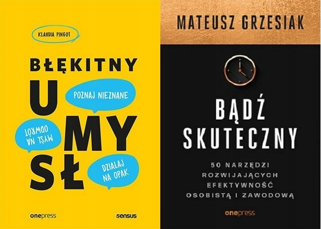 Błękitny umysł Pingot Bądź skuteczny Grzesiak