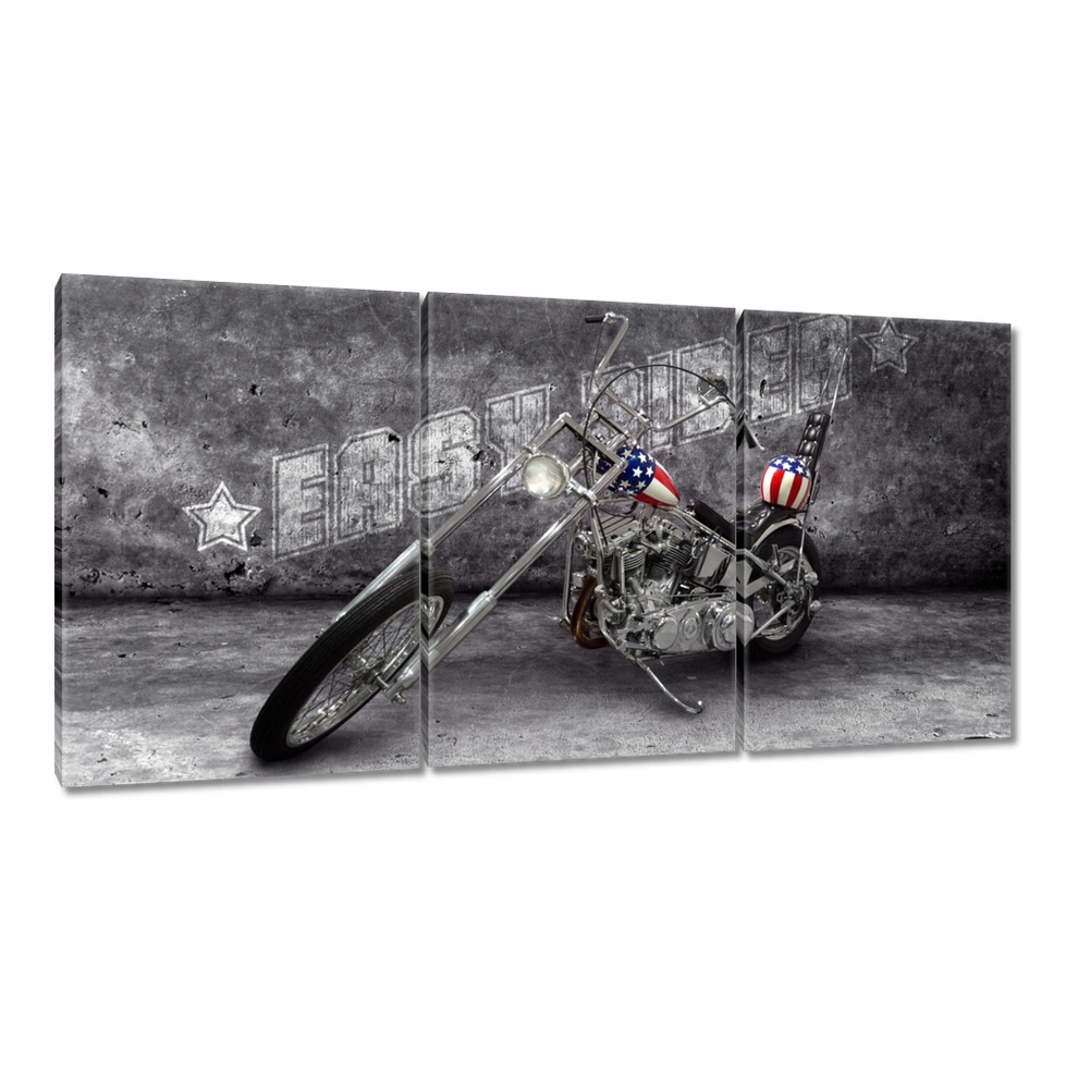 

Obrazy 120x60 Motor Easy Rider