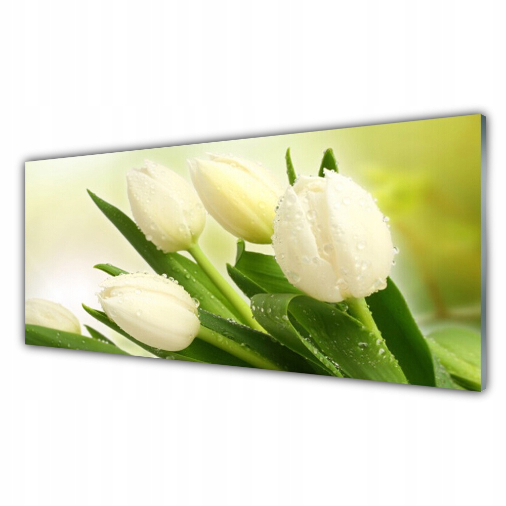 Akrylový obraz 125x50 cm Tulipány Květiny Rostlina